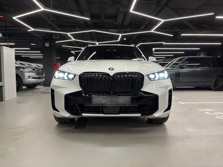 BMW · X6 · G06