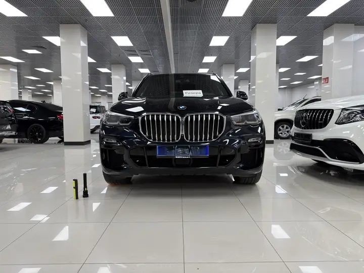 BMW · X5 · G05 · 30d