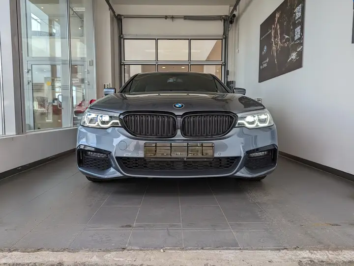 BMW · 5 Series · G30 · 530d